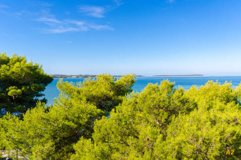 Fazana Apartment Rental