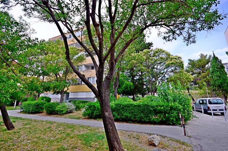 Split Apartment Rental