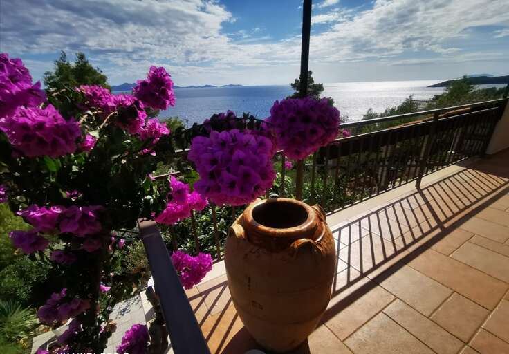 Blato Apartment Rental