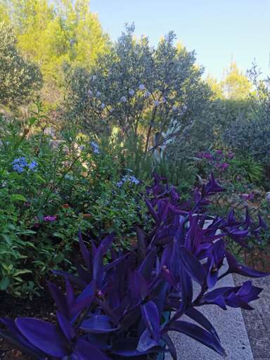 Blato Apartment Rental