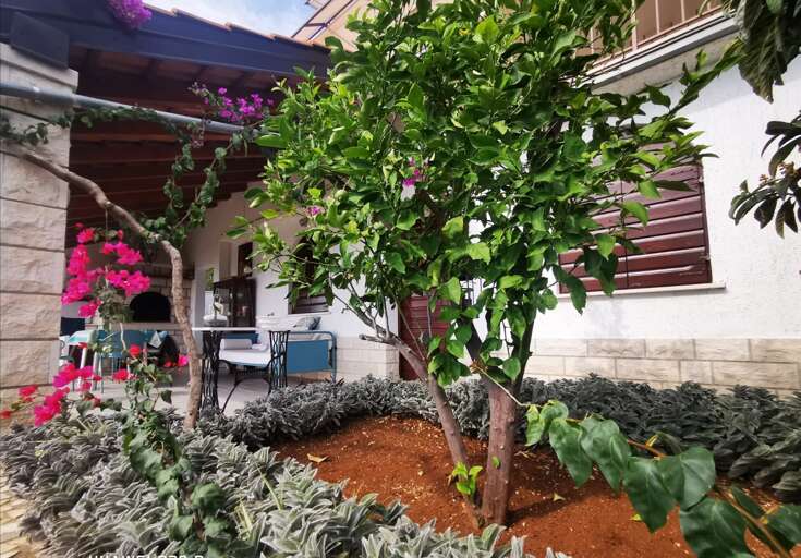 Blato Apartment Rental