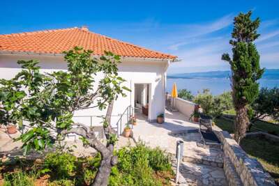 Apartment Petar