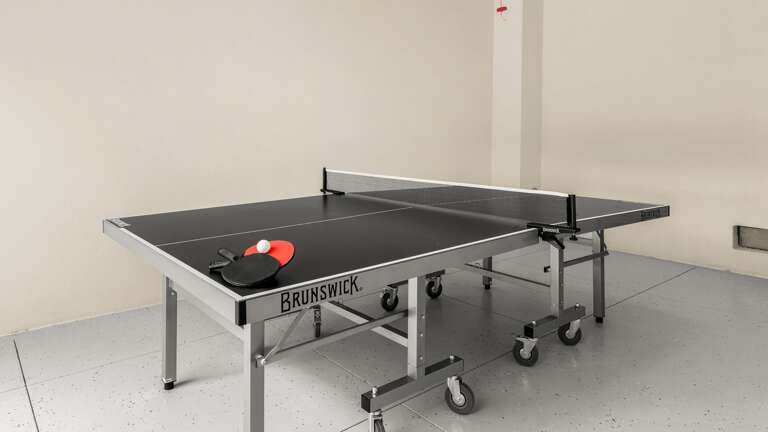 Endless Fun and Games - Ping Pong!