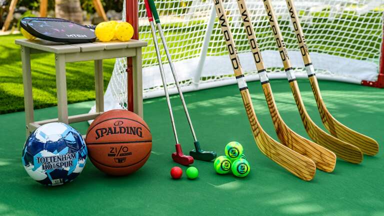 Multi-Sport Court - Pickelball - Hockey - Soccer - Basketball