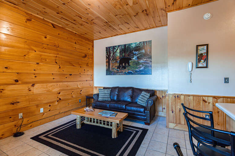 Downstairs Living Room