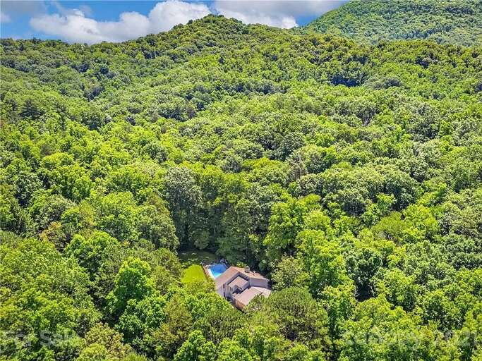 In this vacation rental, you can actually say you're staying “in the Blue Ridge Mountains!”