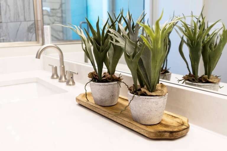- Touch of greenery adds life and freshness to this clean, modern vanity - Thoughtful decor on a rustic tray brings spa like vibes to your morning routine - Bright surfaces and sleek fixtures make getting ready a peaceful experience