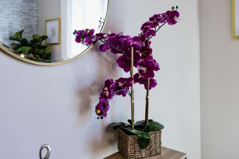Orchids provide some color and ambience before heading to Broadway