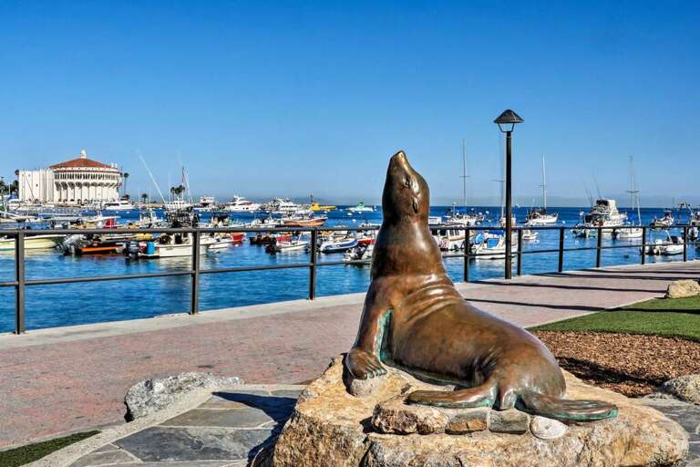 " This villa was amazing! Everything was so clean and location alone is worth a million dollars. It was nice being up away from town and the drive was beautiful.Would highly recommend!! We will definitely stay here again the next time we plan to visit!!" 