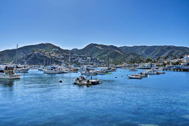 "Expect a great host, beautiful villa and amazing location!" Marcello stayed Oct 2021  "Expect a great host, beautiful villa and amazing location!" Marcello stayed Oct 2021