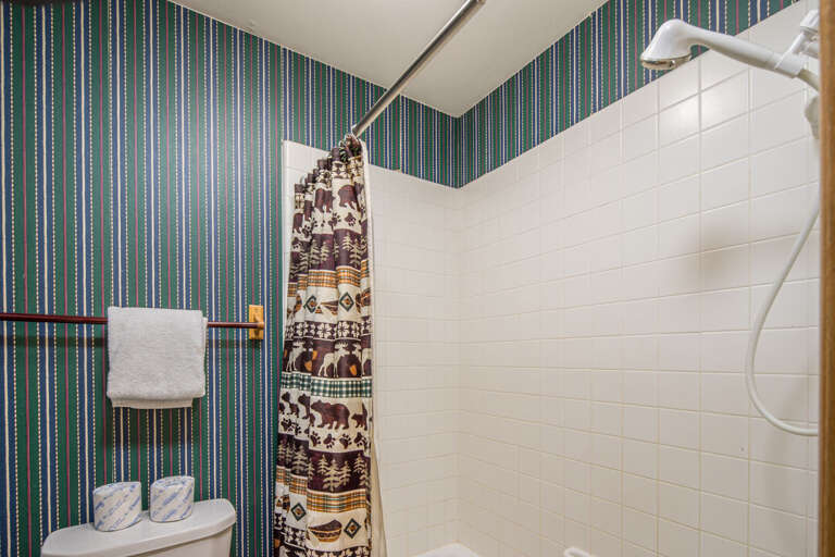 A full shower/tub combo! A full shower/tub combo!