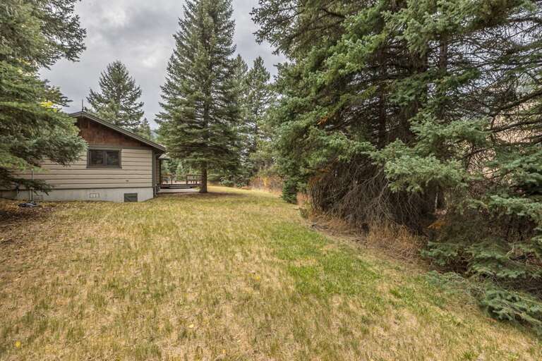 Side Yard to Play In | Exterior