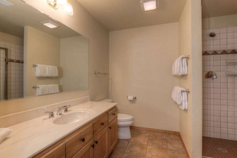 Fun walk-in shower | Lower Level Fun walk-in shower | Lower Level