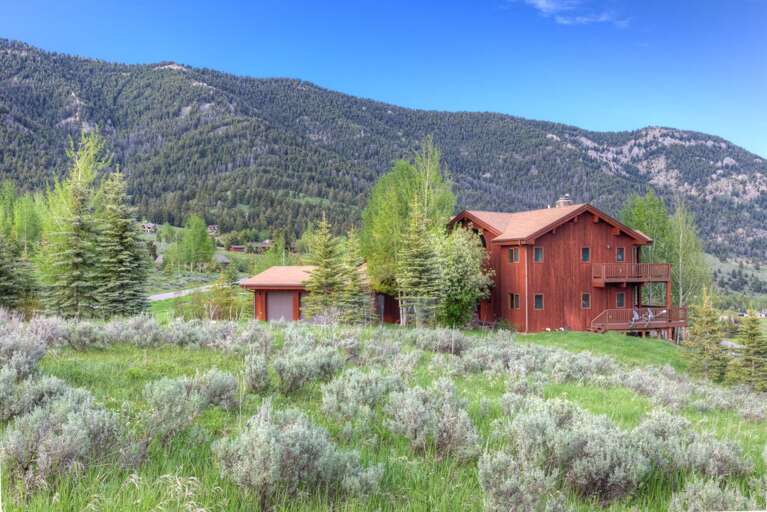 Lush green | Exterior Lush green | Exterior