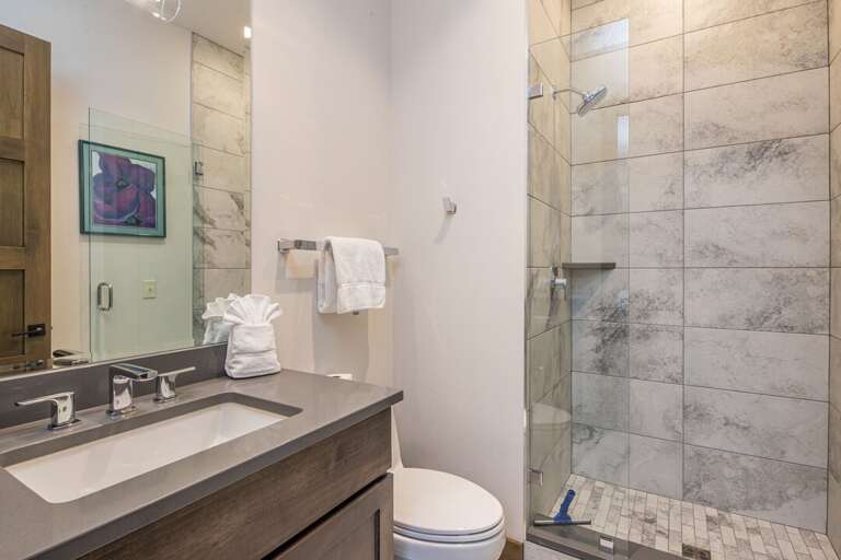 Guest bathroom | Main Level