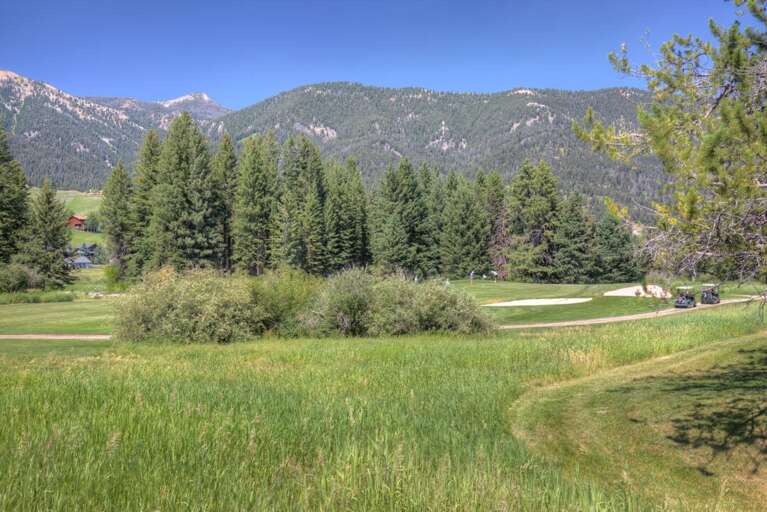 Lush green everywhere | Exterior