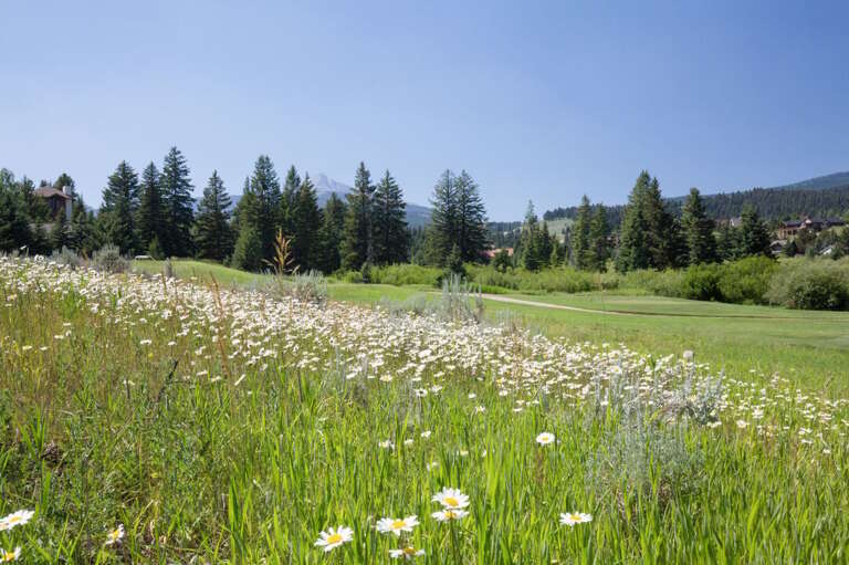The views of the golf course are beautiful | Exterior