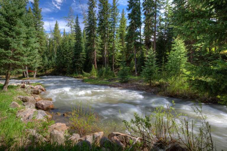 Surround yourself with nature | Exterior