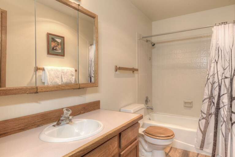 Everything you need in this bathroom | Main Level