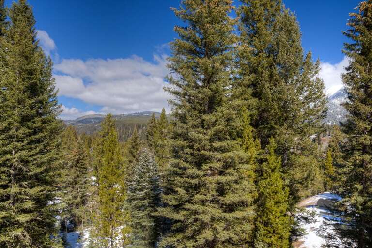 Surround yourself with nature | Exterior