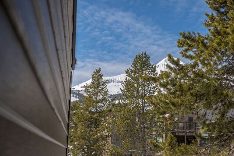 Views from front entrance