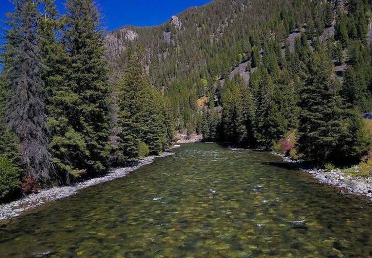 Gallatin River is steps from your back porch! | Exterior Gallatin River is steps from your back porch! | Exterior