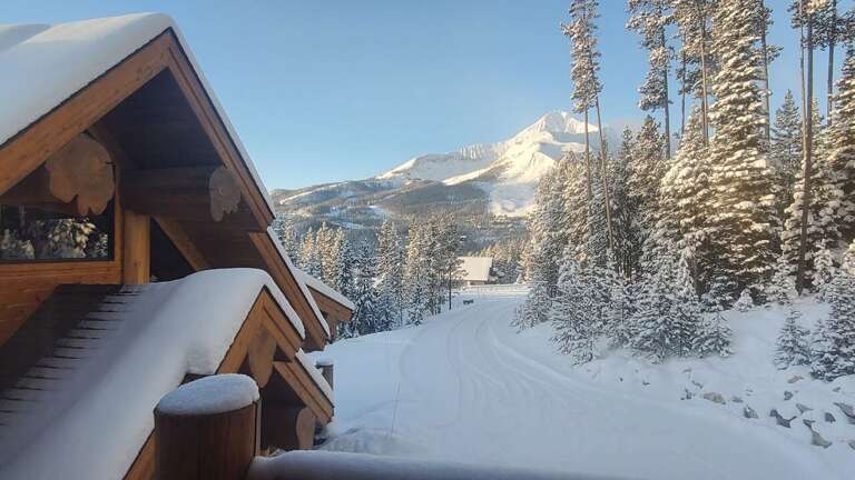 The driveway into the property | Exterior