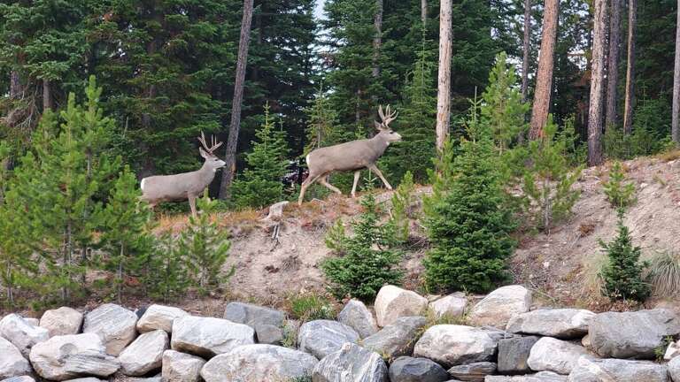 Enjoy the Wildlife | Exterior