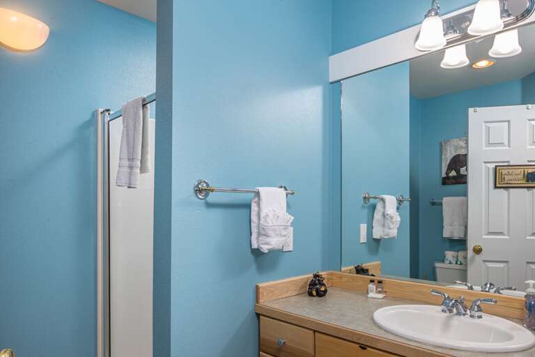 Enjoy the ensuite bathroom | Lower Level