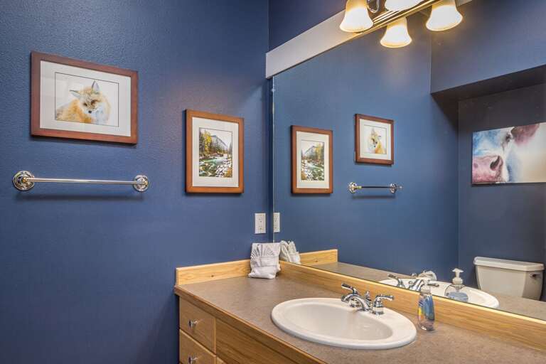 Entryway bathroom | Lower Level