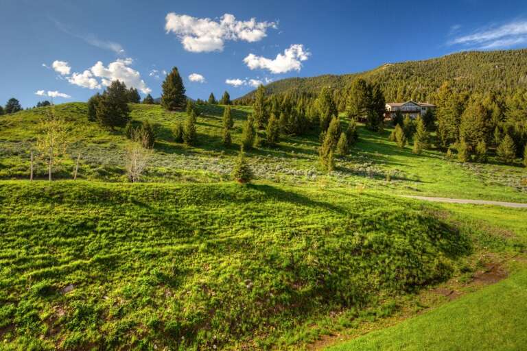 Lush green | Exterior