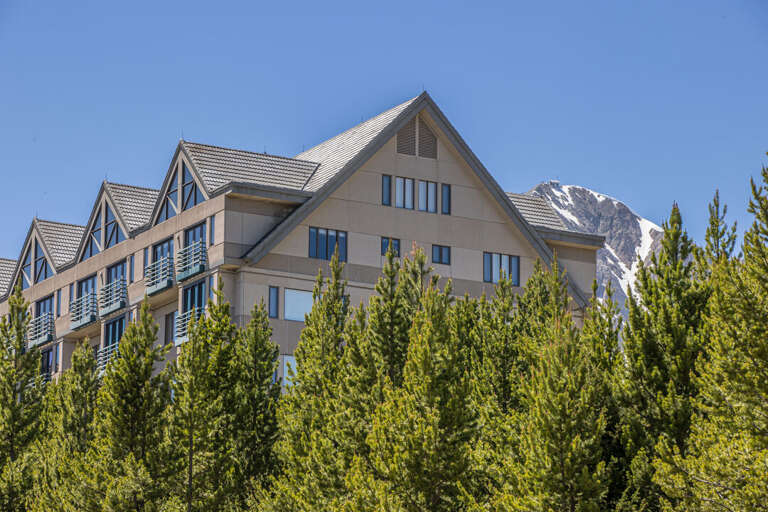 Shoshone Complex