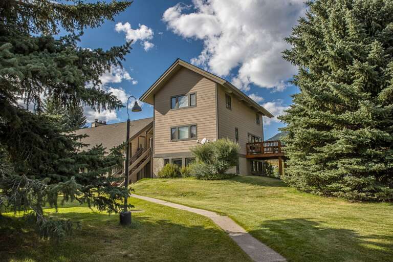 Play Some Yard Games | Exterior Play Some Yard Games | Exterior