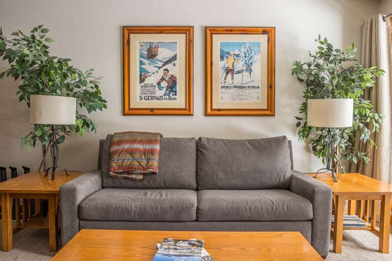 Snuggle on the couch | Main Level