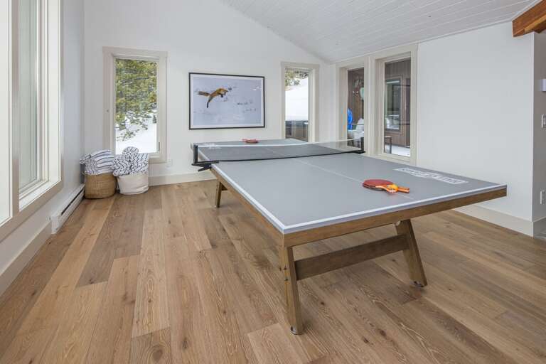 Play Ping-pong | Main Level