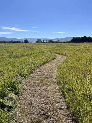 Go exploring | Exterior Go exploring | Exterior