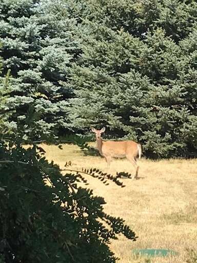 Watch for wildlife | Exterior Watch for wildlife | Exterior