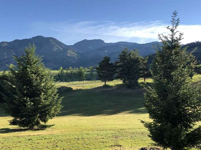 Go for a nature walk | Exterior Go for a nature walk | Exterior