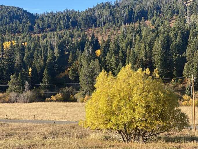 Amazing views Amazing views