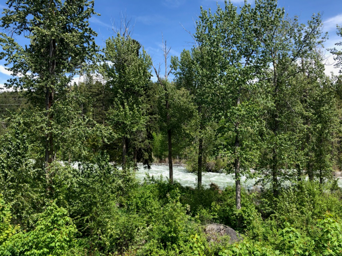 Gorgeous river views | Exterior