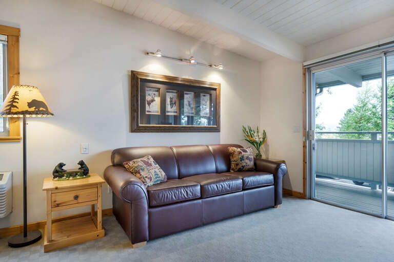 Sleeper sofa Sleeper sofa