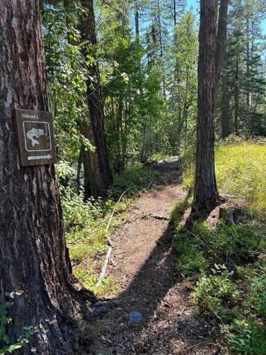 Trail to fishing access