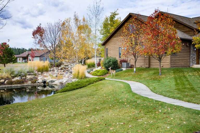 Go for a stroll | Exterior
