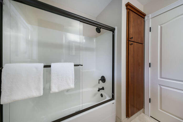 Shower and tub combo