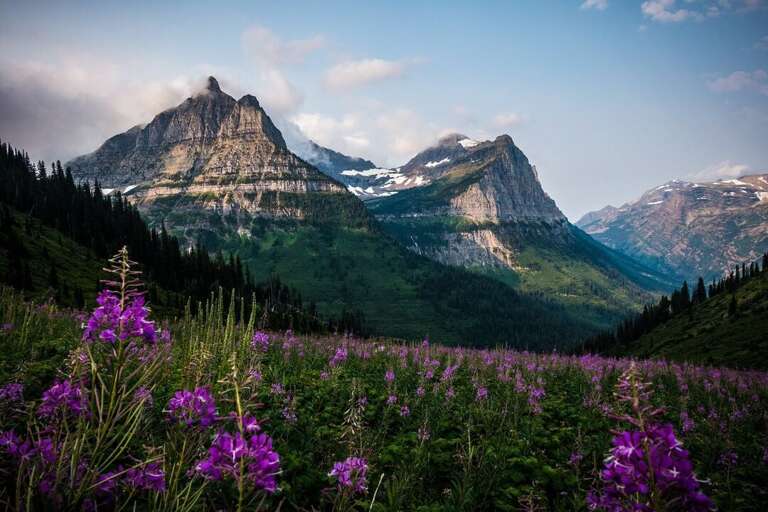 Glacier National Park in the Summer