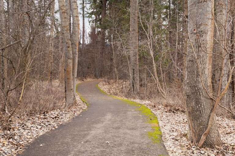 Walking Trail Accessible From the Backyard | Exterior