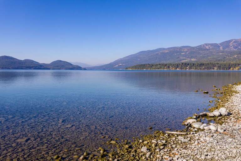 Go for a morning swim | Exterior