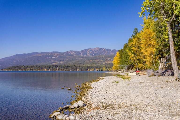 Take a swim | Exterior