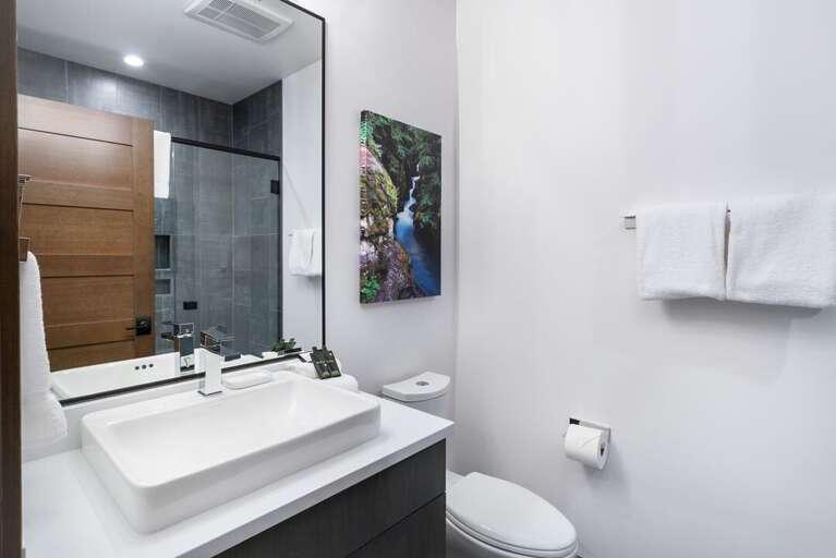 Bathroom | Main Level | Good Medicine Luxury Masterpiece