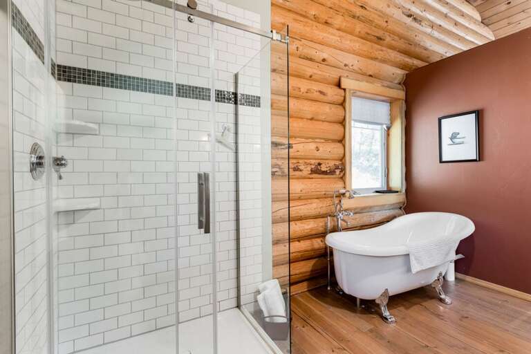 A large standing shower with a separate tub